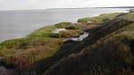     
: IMG_20140612_184205.jpg
: 11
:	79.6 
ID:	9076070