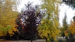    
: IMG_20141016_114423.jpg
: 10
:	192.7 
ID:	9076075