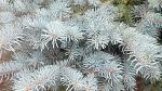     
: IMG_20141016_114140.jpg
: 11
:	219.0 
ID:	9076077