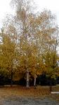     
: IMG_20141016_114338.jpg
: 7
:	97.0 
ID:	9076078
