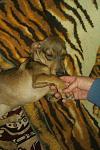     
: IMAG1557.jpg
: 25
:	94.1 
ID:	9076728