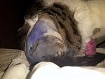     
: 2014-11-26 18.19.30.jpg
: 14
:	113.5 
ID:	9076943