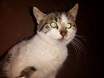     
: 2014-11-26 18.19.42.jpg
: 16
:	71.8 
ID:	9076944