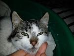     
: 2014-11-26 20.23.01.jpg
: 14
:	112.4 
ID:	9076950