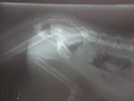     
: 2014-11-26 17.12.41.jpg
: 17
:	45.0 
ID:	9076951