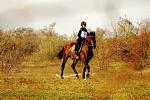     
: 0N22wVATM20.jpg
: 99
:	64.2 
ID:	9077038