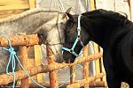     
: 47VNj9QeNyE.jpg
: 105
:	64.6 
ID:	9077039