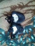     
: IMG_20141127_120502.jpg
: 36
:	167.3 
ID:	9078804