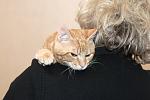    
: DSC_2878.jpg
: 8
:	122.0 
ID:	9081143