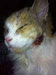     
: IMG_1665.jpg
: 16
:	57.7 
ID:	9081762