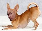     
: i (2).jpg
: 28
:	7.6 
ID:	9082469