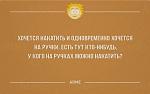     
: uploadfromtaptalk1417189840184.jpg
: 19
:	27.5 
ID:	9084967