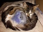     
: 2014-11-27 16.24.19.jpg
: 14
:	174.2 
ID:	9090194