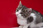     
: zmGikXJIJxCLy632ypGpPkNWLEvPYNdgRqgaFgKAxrm3fMtHnJo8lMYsSvCbr8uU.jpg
: 13
:	58.1 
ID:	9094329
