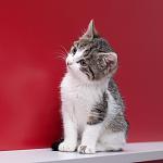     
: hnH5QFfiz0LHRiy4yj8XeF9EnW5fluMOYu6WhmF7L97fDMJhlkgFNE6bFaLoHNTe.jpg
: 10
:	40.6 
ID:	9094330