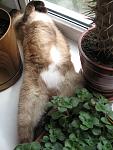     
: IMG_2990.jpg
: 10
:	108.2 
ID:	9095064