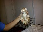     
: 20141124_163929.jpg
: 16
:	101.9 
ID:	9097238