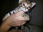     
: 20141124_163824.jpg
: 13
:	111.2 
ID:	9097239
