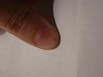     
: P1260288.jpg
: 59
:	55.2 
ID:	9100289
