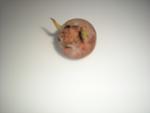    
: DSCN3186.jpg
: 63
:	33.1 
ID:	9101121