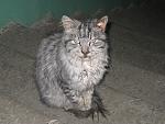     
: IMG_6150.jpg
: 11
:	152.8 
ID:	9101597