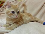     
: 20141201_004631.jpg
: 4
:	106.6 
ID:	9102400