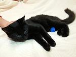     
: 20141201_010832.jpg
: 3
:	84.7 
ID:	9102401
