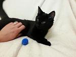     
: 20141201_010507.jpg
: 6
:	73.2 
ID:	9102402