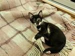     
: 20141127_004607.jpg
: 4
:	140.4 
ID:	9102421