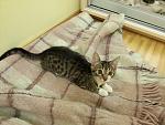     
: 20141127_010604.jpg
: 3
:	147.2 
ID:	9102422