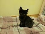     
: 20141127_005033.jpg
: 6
:	102.7 
ID:	9102426