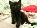     
: 20141017_005740_cr.jpg
: 4
:	106.1 
ID:	9102429