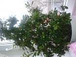     
: 20141202_113134.jpg
: 14
:	176.5 
ID:	9103651