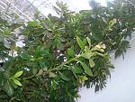     
: 20141202_113205.jpg
: 16
:	189.9 
ID:	9103652