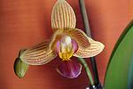     
: DSC06818.jpg
: 10
:	78.8 
ID:	9105220