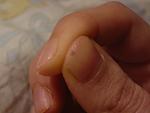     
: P1260297.jpg
: 18
:	65.2 
ID:	9107538