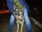    
: 20141129_193319.jpg
: 36
:	124.8 
ID:	9109037