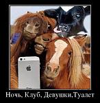     
: 864 ночь клуб.jpg
: 9
:	48.6 
ID:	9110335