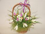     
: DSC05178.jpg
: 3
:	121.7 
ID:	9114419