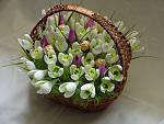     
: DSC06769.jpg
: 3
:	134.9 
ID:	9114426