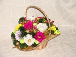     
: DSC07743.jpg
: 2
:	145.1 
ID:	9114459