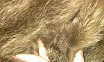    
: gJIEFQ5HgpY.jpg
: 15
:	163.7 
ID:	9119391