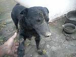     
: DSC00092.jpg
: 8
:	111.2 
ID:	9119483