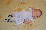     
: DSC_4501.jpg
: 81
:	75.6 
ID:	9120121