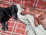     
: 1417806775643-877685012.jpg
: 21
:	152.4 
ID:	9123902