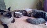     
: 2014-11-09 12.15.52.jpg
: 22
:	109.1 
ID:	9123997