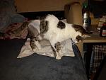     
: 2014-12-05 17.37.30.jpg
: 10
:	91.7 
ID:	9124260