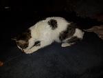     
: 2014-12-05 17.39.07.jpg
: 10
:	73.7 
ID:	9124262