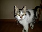     
: 2014-12-05 17.40.52.jpg
: 9
:	59.3 
ID:	9124264