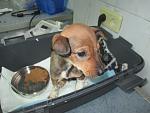     
: IMG_0167.jpg
: 4
:	106.5 
ID:	9127781